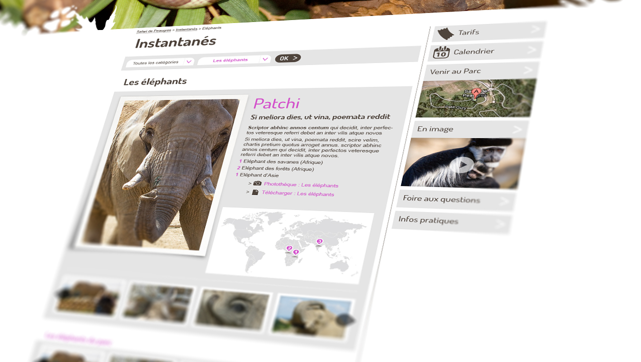 Site internet Safari de Peaugres